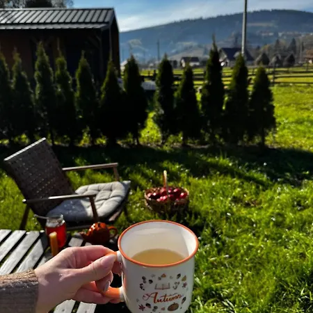 Holiday home Osho House Karpaty Iltsi