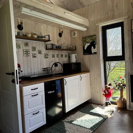 Holiday home Osho House Karpaty Iltsi