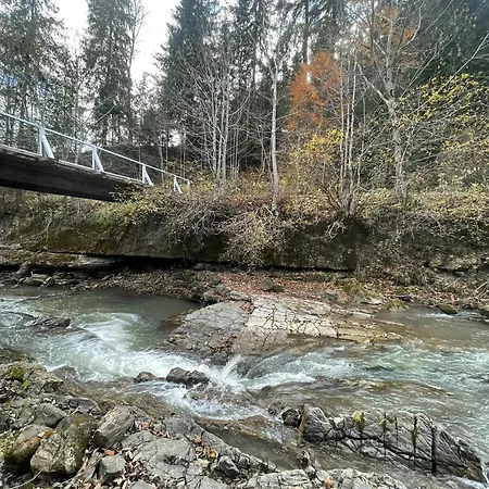 Holiday home Osho House Karpaty Iltsi