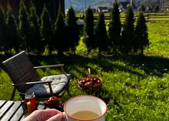 Tatil Evi Osho House Karpaty Iltsi